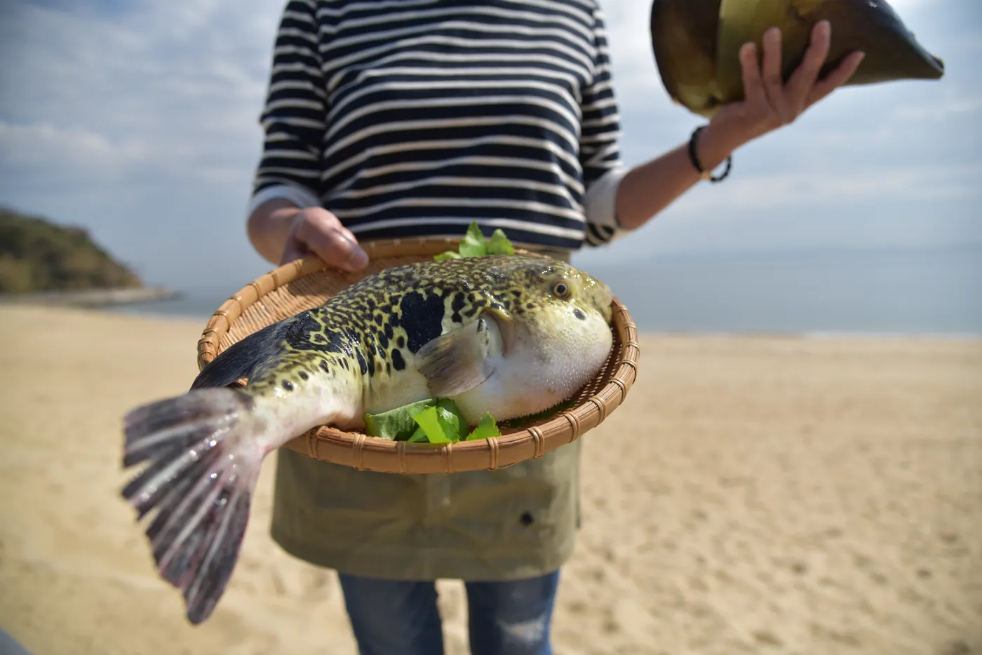 浜辺の宿 大舟